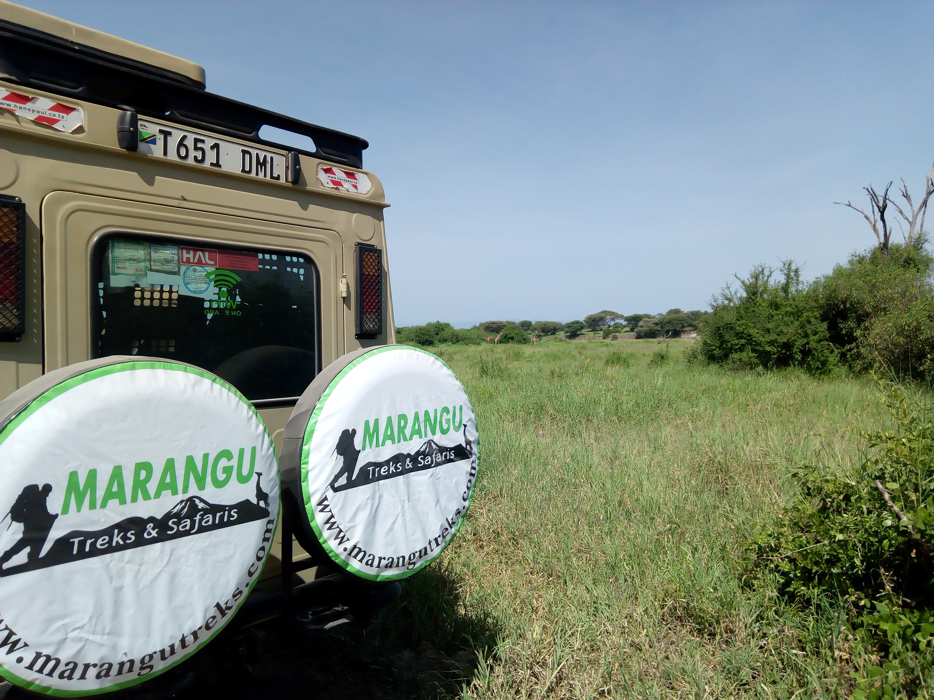 Luxury Safari